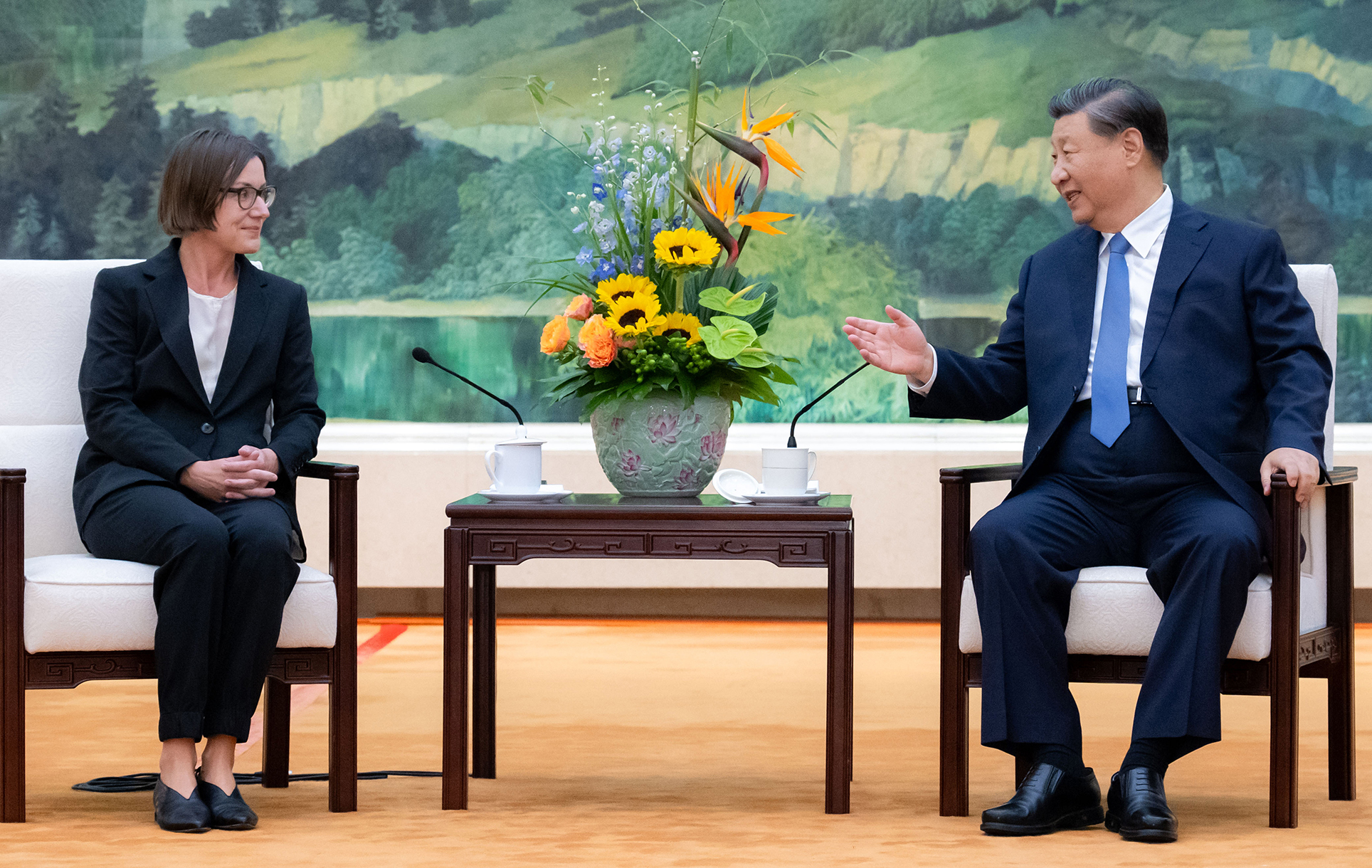 习近平会见红十字国际委员会主席斯波利亚里茨